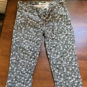 Adorable anthro pineapple pants